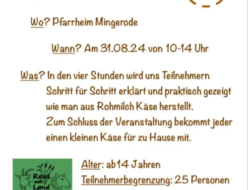 Erlebniskurs „Von der Milch zum Käse“